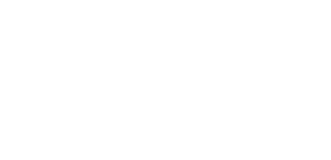 filmera